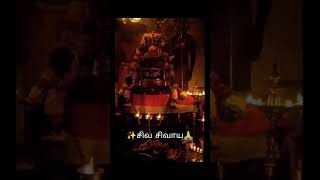 sivan songs tamilannamalaiyarsongsanpa sivamsiva sivayaarunachaleswarar songsgirivalam [upl. by Adnohryt798]