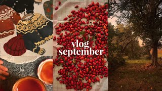 Studio Vlog 40  Gloomy days amp crispy air drawing cooking Rosehip Marmelade Silent Autumn Vlog [upl. by Weld39]