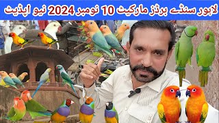 Lahore Sunday Birds market 10 Nov 2024 new update Shalimar Bagh Lahore‎MultanPets [upl. by Ubana]