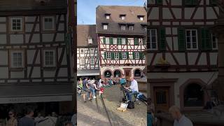 Weinheim Germany 🇩🇪  A Magical Town germanytravelguide travel weinheim germany shorts [upl. by Kachine]