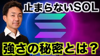 2024年の仮想通貨はSOLなぜここまで強いのか？ [upl. by Hawger]