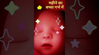 8th Month Baby in the Womb Video [upl. by Meid]