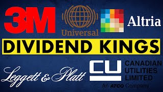 5 Highest Paying Dividend Kings [upl. by Anayra488]