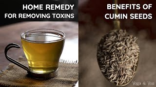 Home Remedy to Remove Toxins  Health Benefits Of Cumin  Jeera Water  Best Ways To Use Cumin [upl. by Nnylyram285]