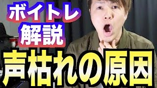 【カラオケ上達】声が枯れやすい人の原因【IKKI式ボイトレ】15 ボイストレーニング [upl. by Obrien]