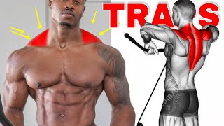 Trapézio Saltando Com 8 Super Variações de Exercícios [upl. by Jerrie631]