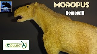 Collecta quotDeluxequot Moropus Review [upl. by Dwayne185]