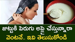 జుట్టుకి పెరుగు అప్లై చేస్తున్నారా  Benefits of Curd for Hair  Telugu lifestyle kitchen [upl. by Leahci]