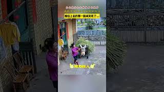 cute babytry not to laugh❤️1歲10個月寶寶模仿推車，被推車翹起來，那一瞬間太好笑了😂寶寶臂力真好，安全意識高，還要再玩？嬰兒 cutebaby funny 可愛い [upl. by Eessej]