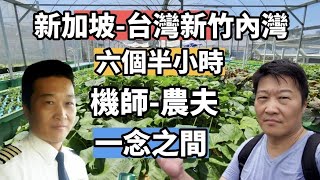 從新加坡到新竹的內灣只要6個半小時 飛機機場走路騎車 桃園機場的行李處理 出乎意外的快速 從一位民航機長要當農夫卻只在一念之間 [upl. by Ko]