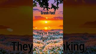 quot10 Secrets About Crushes That No One Talks About 😳quot sadstatus sad sadfacts cruise crush [upl. by Rowney]