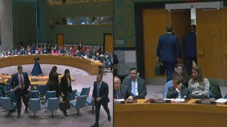 UN Israeli delegation walks out of Security Council meeting  AFP [upl. by Celina]