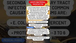 Acute bacterial prostatitis [upl. by Firman]