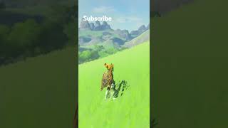 We dont know whats going on zelda botw gaming nintendo viralvideo funny [upl. by Nerrot]