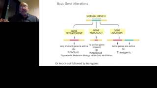 Steve Fiering  Managing genetically modified rodent strains focus on the genotype and genetic back [upl. by Mari]