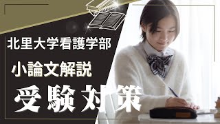 北里大学看護学部の小論文解説 [upl. by Yrollam]