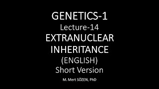 Extranuclear inherivatnce ENGLISH [upl. by Flor]