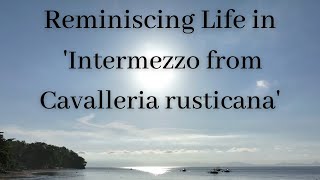 Intermezzo from Cavalleria Rusticana Cello [upl. by Weixel]