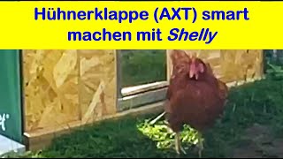 Hühnerklappe bequem mit Smartphone vom Wohnzimmer fernbedienen  mittels Shelly Plus 1PM [upl. by Nednal706]