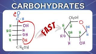 Fischer to Haworth shortcut for Glucose and Fructose [upl. by Chladek]