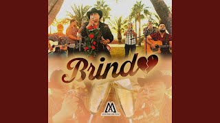 Brindo [upl. by Weidar698]