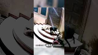 Leopard Invades Neighborhood and Targets Guard Dog shorts viralvideo [upl. by Arammahs172]