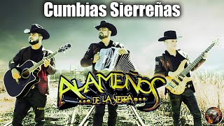 Los Alameños De La Sierra  CUMBIAS LAS MAS CHINGONAS PA BAILAR Mix 2022  Alameños Huapangos Mix [upl. by Esmerelda]