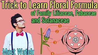 Trick to Write Floral Formulas of Family Fabaceae Solanaceae amp Liliaceae  Morphology via NCERT [upl. by Saoj]