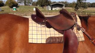 Kent Western Drafter Saddle Review  Australian Halfbreed [upl. by Akerdna]