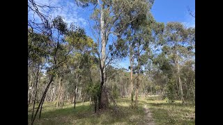 Harry Pottage Reserve Macleod [upl. by Sanjiv]