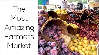 The Most Amazing Farmers Market [upl. by Nnylatsirk]