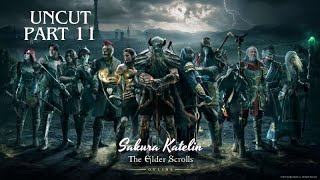 Nieder mit den Hauträubern  The Elder Scrolls Online  Uncut Part 11 [upl. by Aihsenrad]