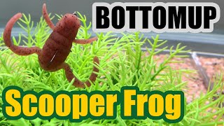 ボトムアップ スクーパーフロッグ 水中アクション動画BOTTOMUP Scooper Frog UNDERWATER LURE ACTION [upl. by Conover]