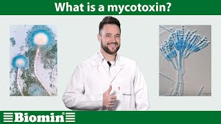 What is a mycotoxin Your Animal Nutrition Questions Answered [upl. by Paola]