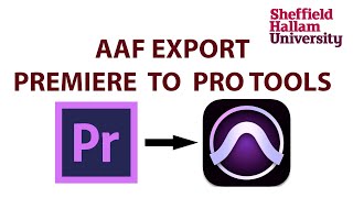 AAF Export from Premiere to Pro tools [upl. by Lig]