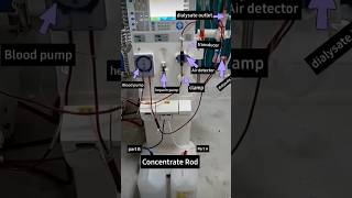 Parts of dialysis machine dialysis doctor youtubeshorts [upl. by Bronwen]