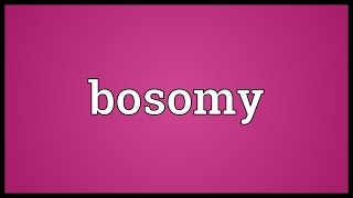 Bosomy Meaning [upl. by Leonelle484]