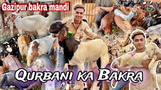 Gazipur Bakra Mandi Gye  Qurbani Ke Bakre lene  Souda bna ya nahi [upl. by Fabrianna]