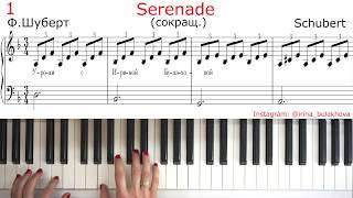 SERENADE SCHUBERT easy СЕРЕНАДА ШУБЕРТ ЛЕГКАЯ ВЕРСИЯ НА ПИАНИНО PIANO Очень красивая мелодия Simple [upl. by Tra]