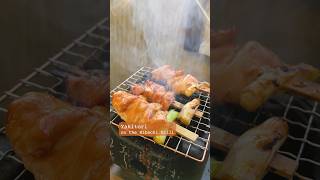 Yakitori on the Hibachi Grill 🍢🔥 Japanese Grilled Chicken homemade mealinspo 🚋 [upl. by Wake]