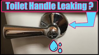 Toilet Handle Leaking [upl. by Yahc]