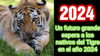 HORÓSCOPO CHINO 2024  Predicciones para el signo del Tigre para el año 2024  Intuición Comprobada [upl. by Ecaroh142]