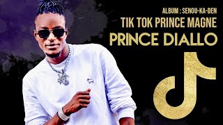 Prince Diallo  Tik Tok Prince Magne Officiel 2021 [upl. by Ytisahc985]