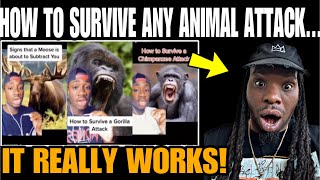 Wildlife Expert Shares Top Animal Attack SURVIVAL Techniques [upl. by Atikahc809]