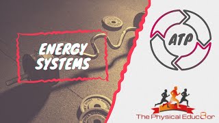 Physical Educ8or IB SEHS Nutrition and Energy Systems [upl. by Nivrac]