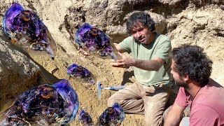 Smoky Amethyst Crystals Found 2 foot UNDERGROUND  Crystal Park Montana [upl. by Meador771]