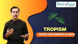 Tropism  Tropic Movements of Plants  Biology  Control and Coordination [upl. by Oek640]