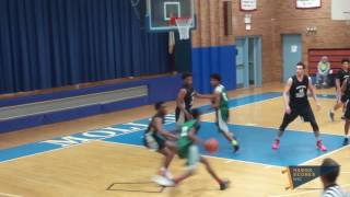 2017 Boys Wheelchair Classic Final LI vs Manhattan Bronx [upl. by Valerio]