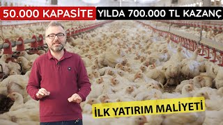 ETLİK PİLİÇ YETİŞTİRİCİLİĞİ  BROİLER TAVUK ÇİFTLİĞİ KURMAK MALİYET VE KAZANCI [upl. by Dnalra]