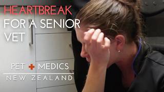 Heartbreak for a Senior Nurse  Pet Medics NZ [upl. by Elleira]